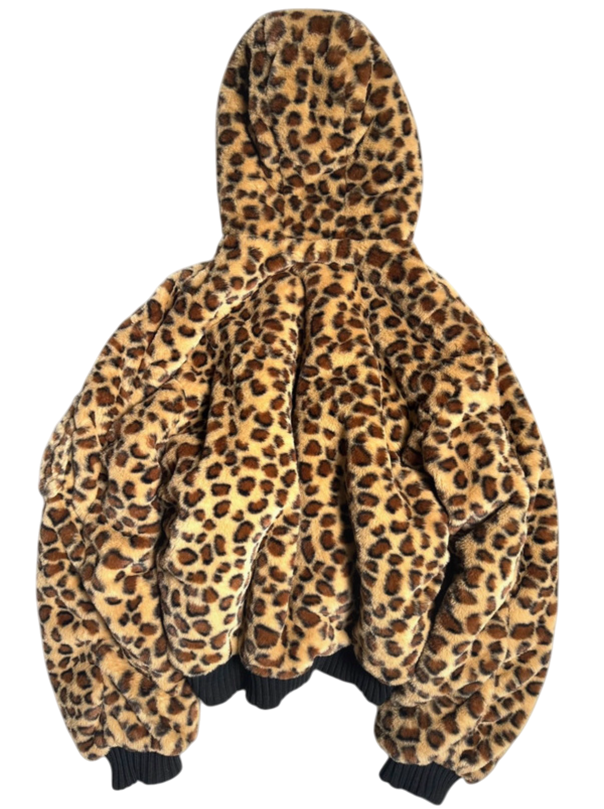 Leo Jacket (Winterjacket) (1of1)