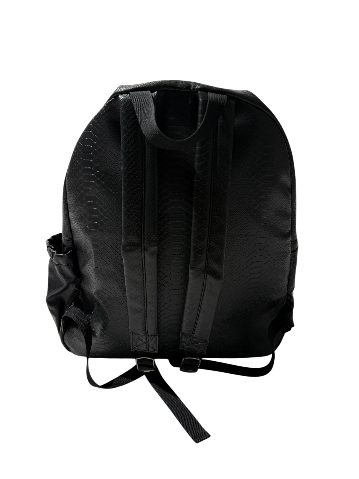 Snakeskin Backpack (1of1)