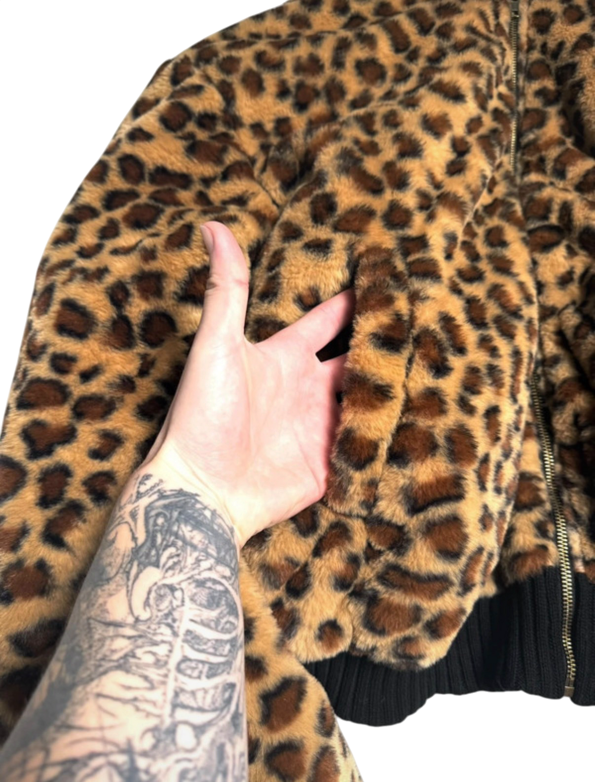 Leo Jacket (Winterjacket) (1of1)