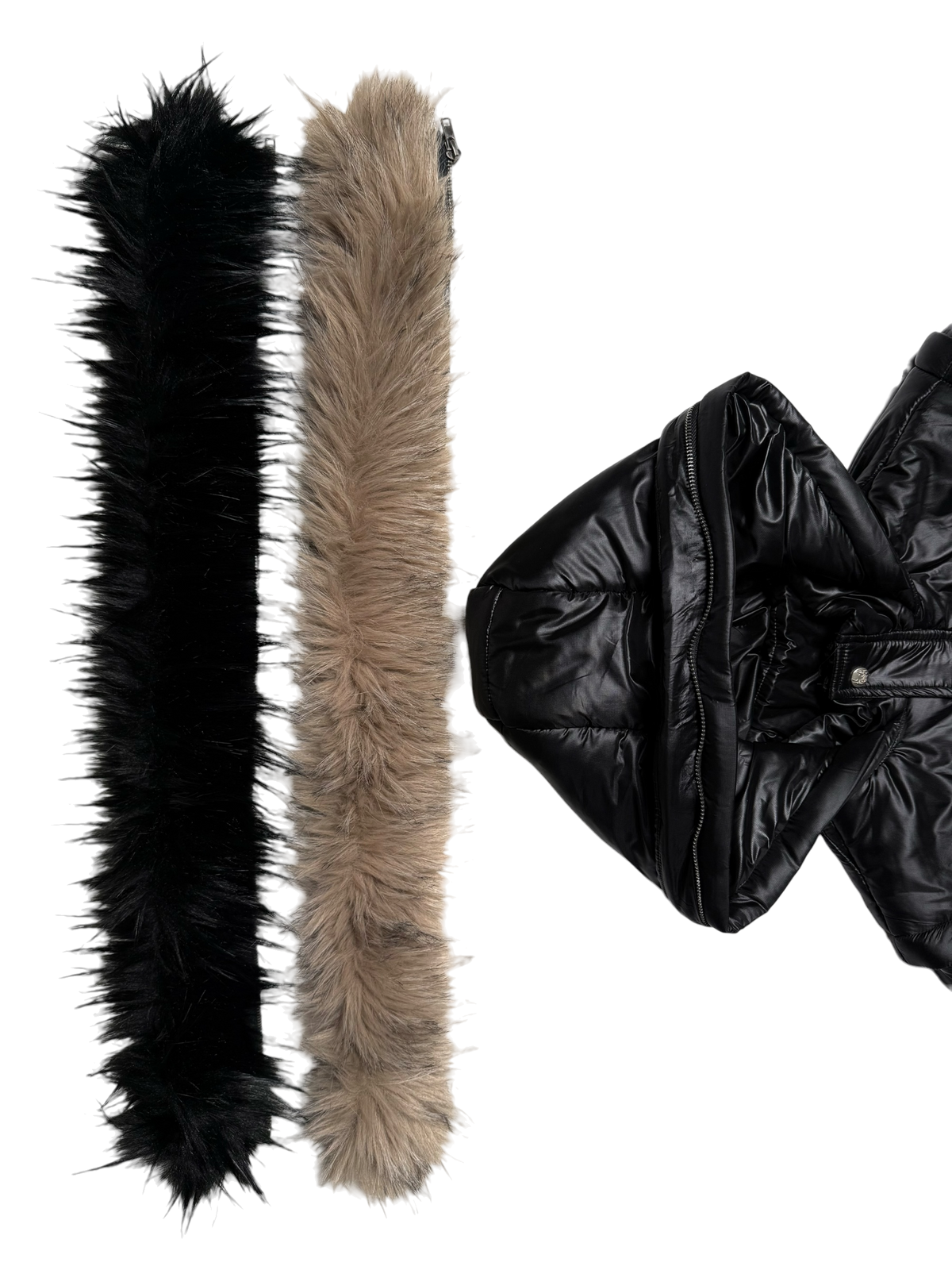 Obsidian Puffer